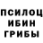 Галлюциногенные грибы мицелий palma 228