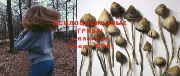 амф Белоозёрский