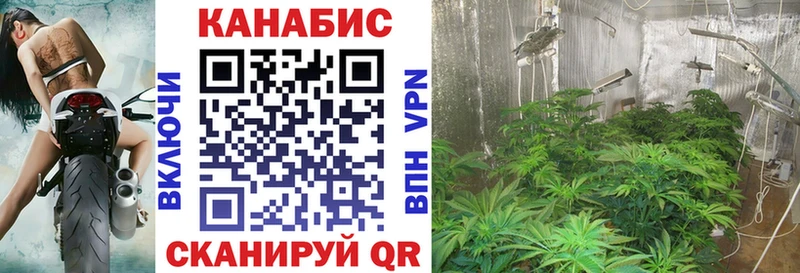 Конопля марихуана  цена наркотик  Высоковск 